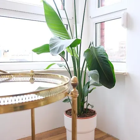 Honeybee Lägenhet Koblenz (Rhineland-Palatinate)