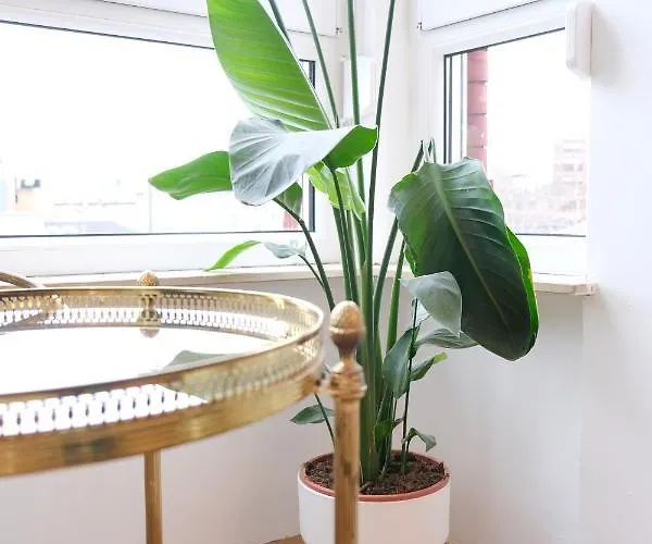 Honeybee Lejlighed Koblenz (Rhineland-Palatinate)