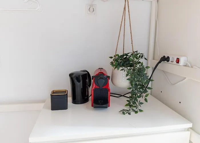 Honeybee * Coblença