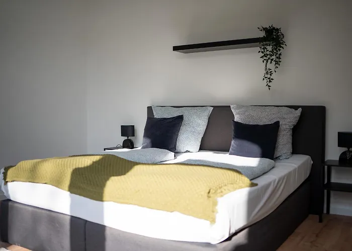 Honeybee Koblenz (Rhineland-Palatinate)